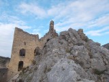 DSCN0497